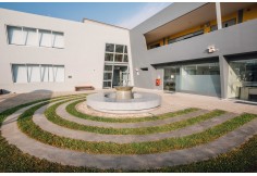 Universidad Científica del Sur