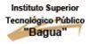 Instituto Superior Tecnológico Público "Bagua"